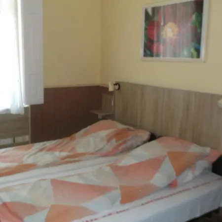 Vali Vendeghaz B&B 귤러