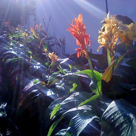 Vali Vendeghaz B&B 3*