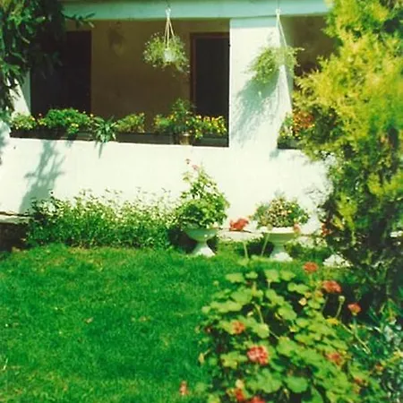Vali Gyula