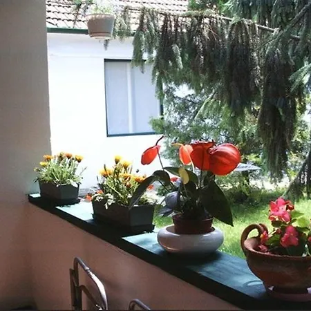 Vali Bed & Breakfast