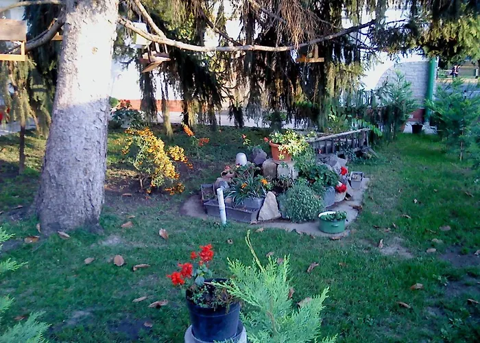 Vali Vendeghaz Bed & Breakfast