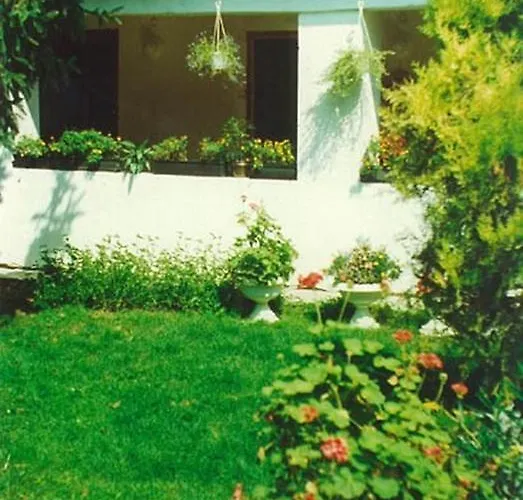 Vali Vendeghaz Дьюла