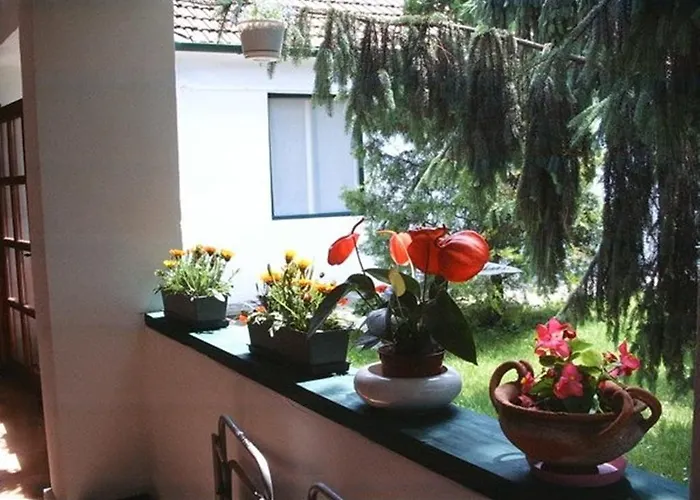 Vali Vendeghaz Bed & Breakfast